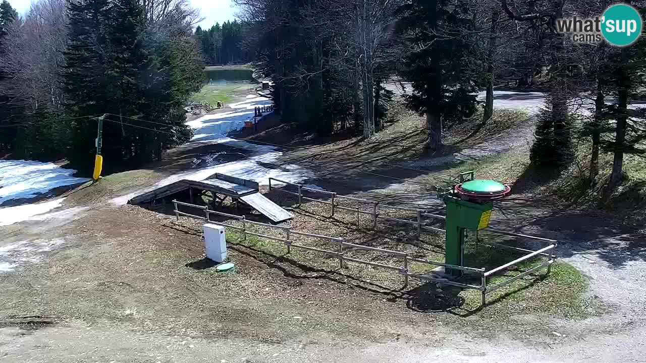 SKI Maribor Pohorje webcam Ruška