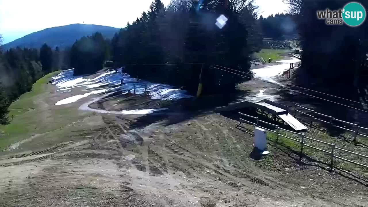 SKI Maribor Pohorje webcam Ruška