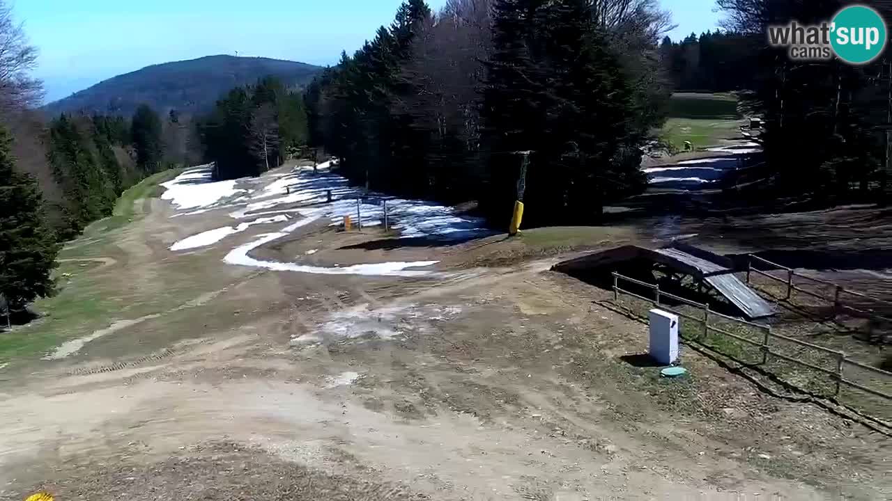 SKI Maribor Pohorje webcam Ruška