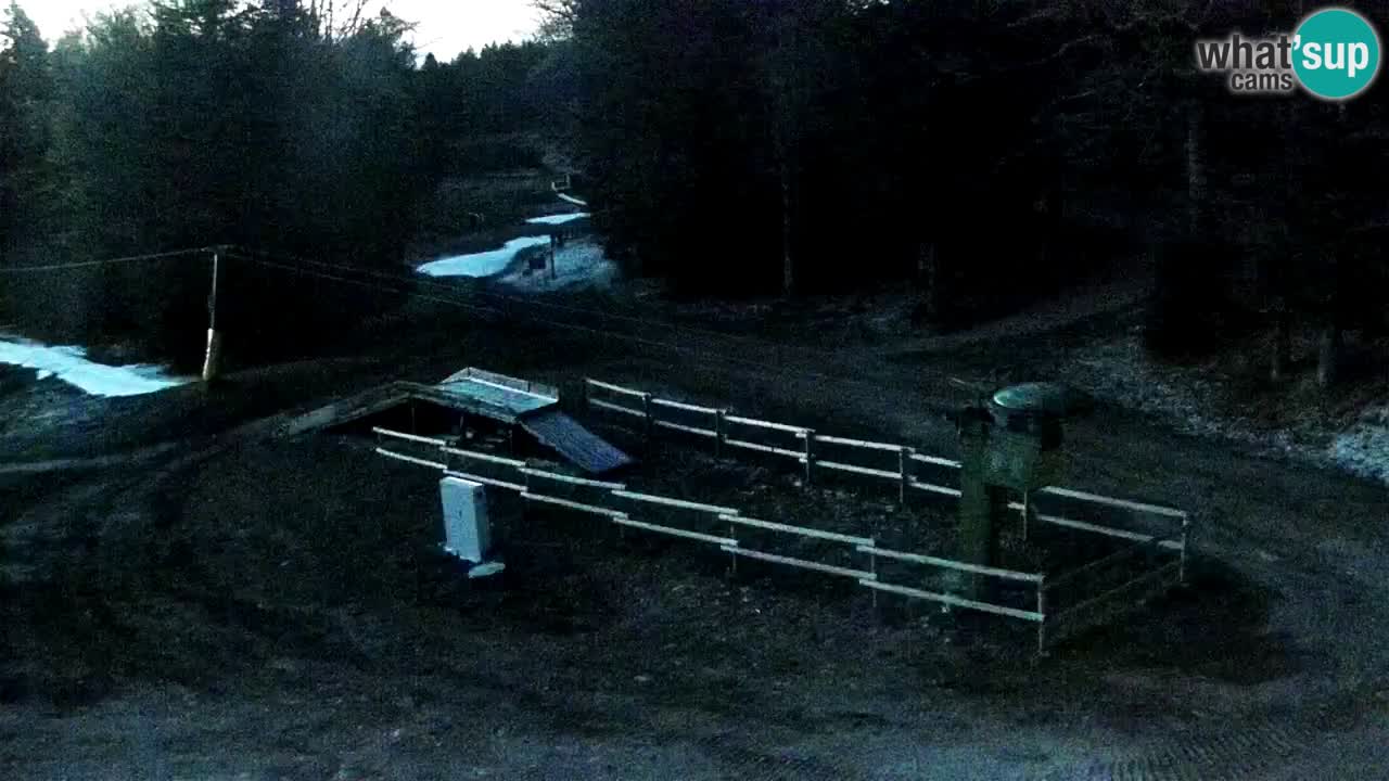 SKI Maribor Pohorje webcam Ruška