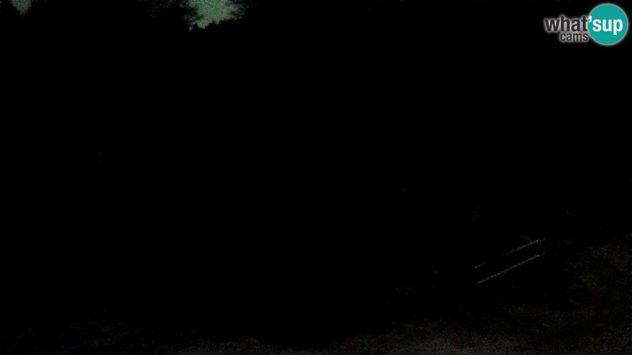 Skijalište Maribor Pohorje web kamera Ruška