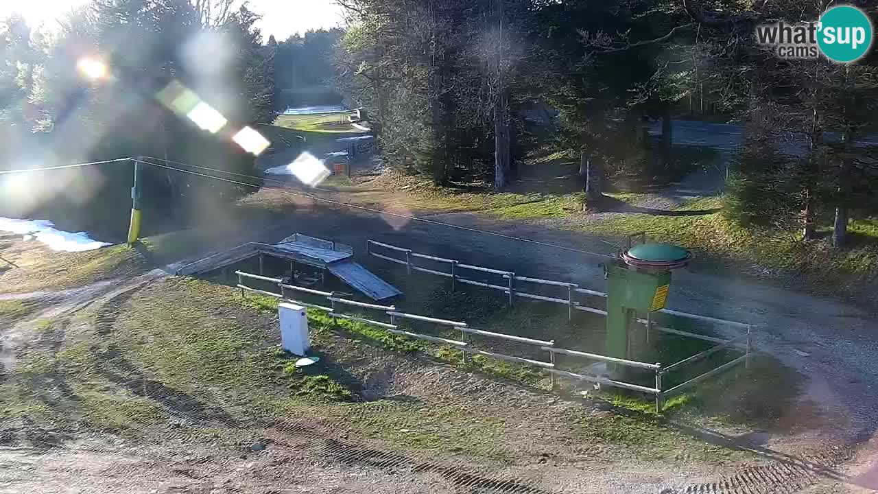 Estaciones de esquí Maribor Pohorje en vivo Ruška