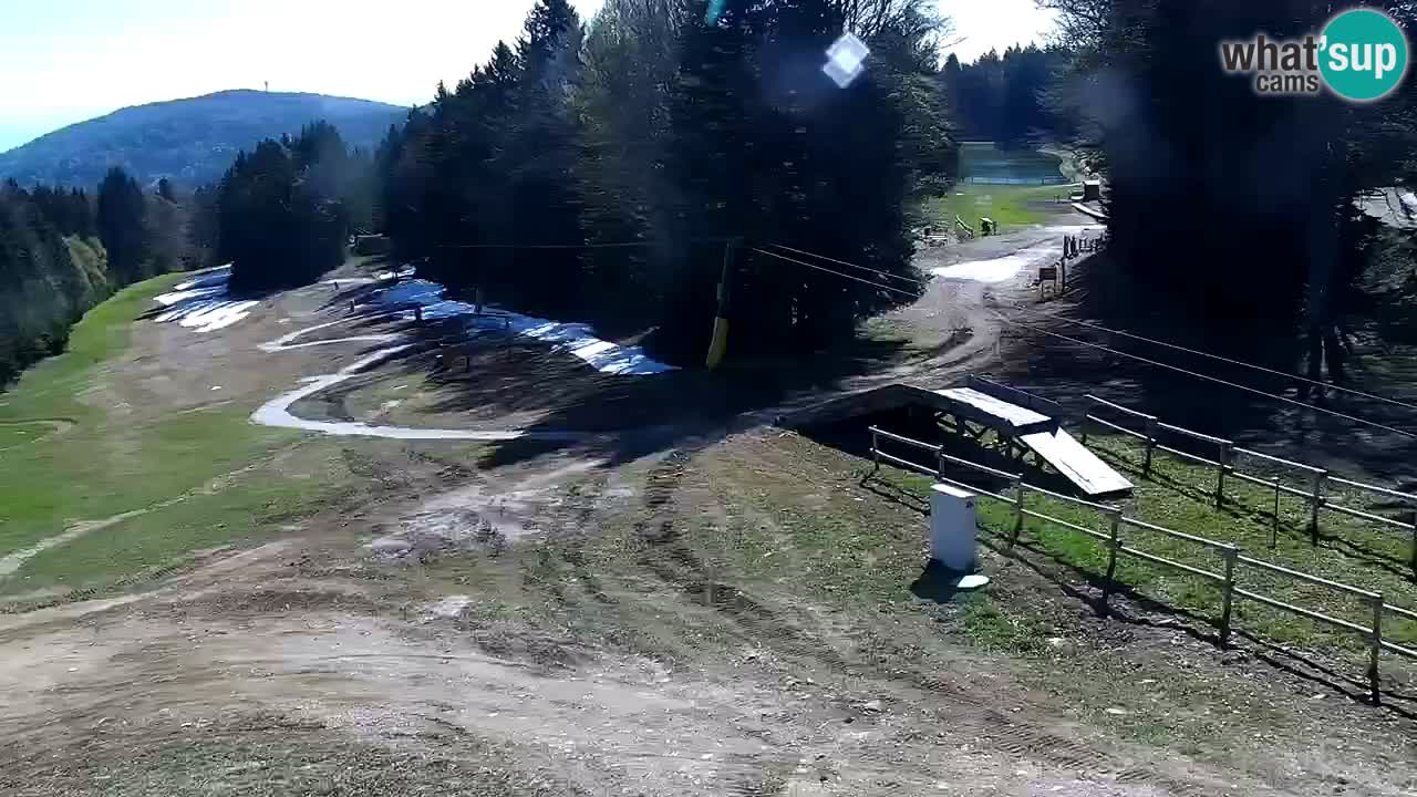 Estaciones de esquí Maribor Pohorje en vivo Ruška