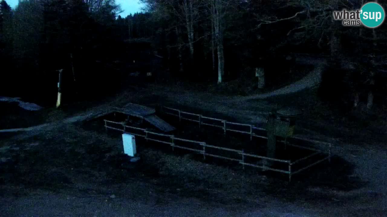 Stazione sciistica Maribor Pohorje – Ruška livecam