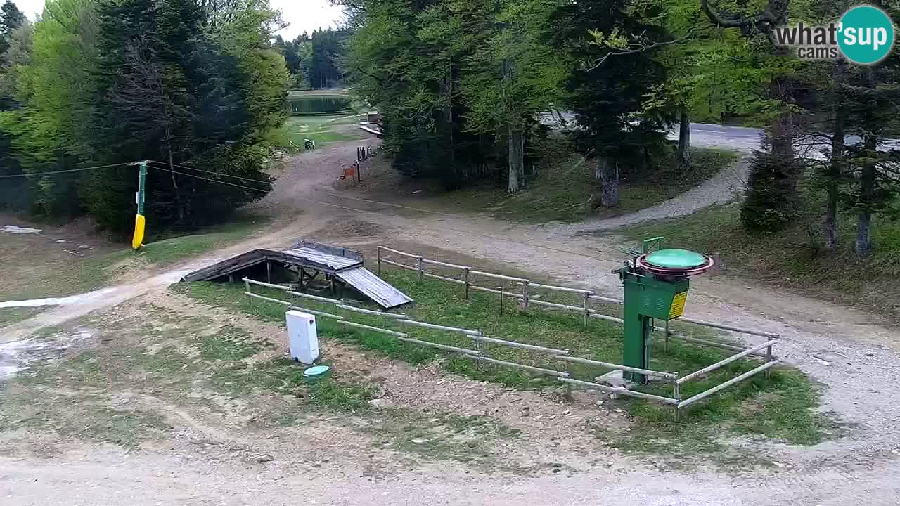 Skijalište Maribor Pohorje web kamera Ruška