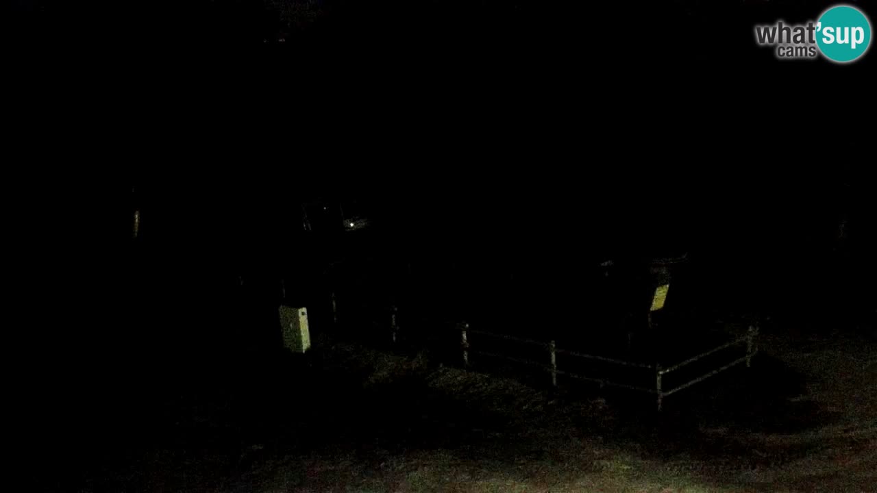 SKI Maribor Pohorje webcam Ruška