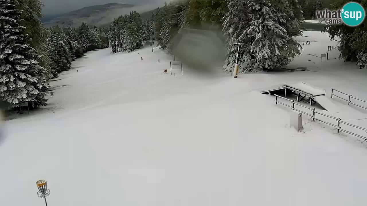 Smučišče Mariborsko Pohorje – spletna kamera Ruška zgoraj