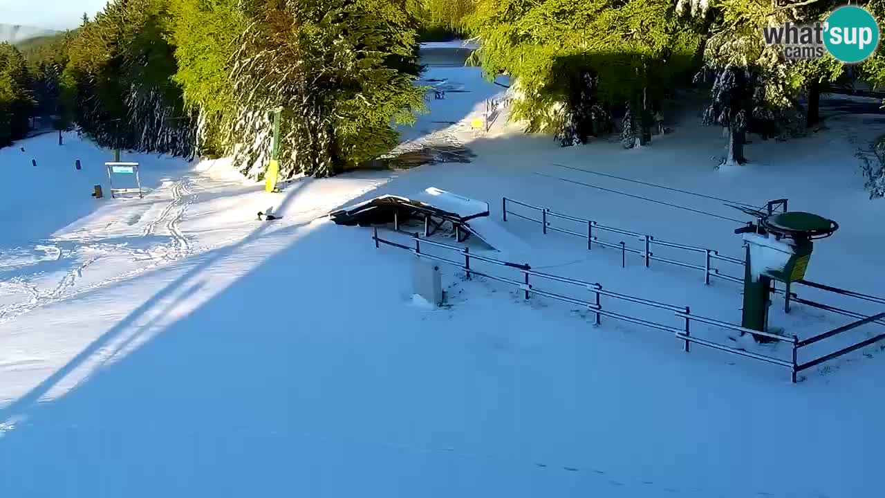 Stazione sciistica Maribor Pohorje – Ruška livecam