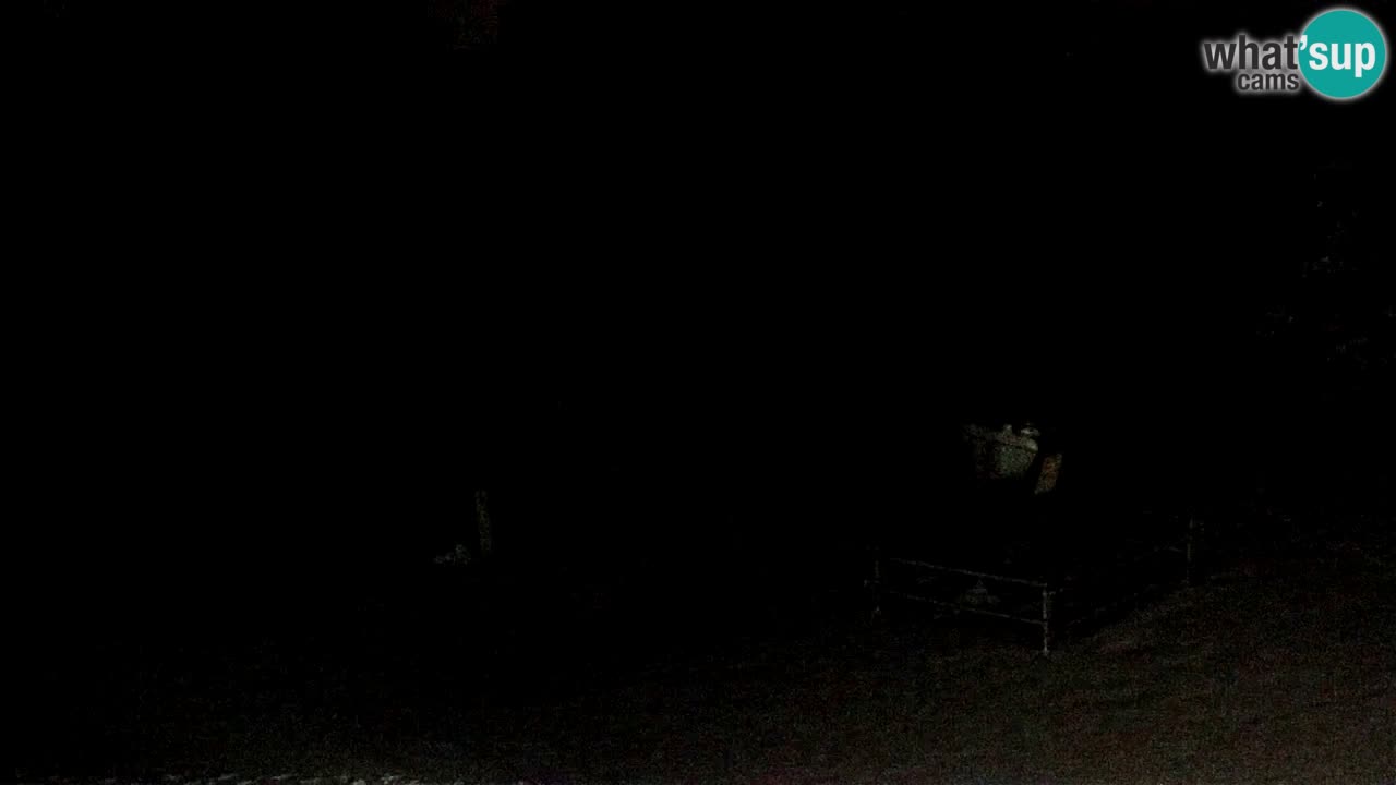 Smučišče Mariborsko Pohorje – spletna kamera Ruška zgoraj