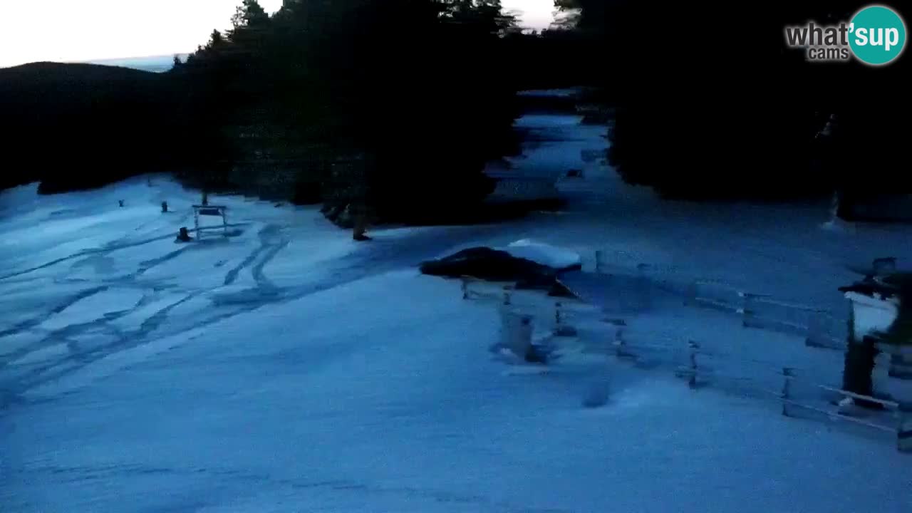 Smučišče Mariborsko Pohorje – spletna kamera Ruška zgoraj