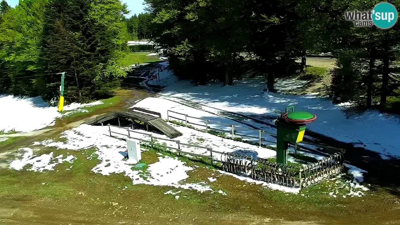 SKI Maribor Pohorje webcam Ruška