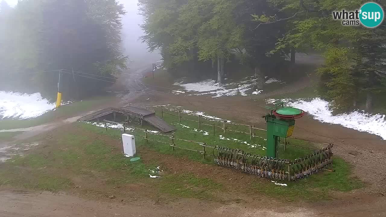 Stations de ski Maribor Pohorje web cam Ruška