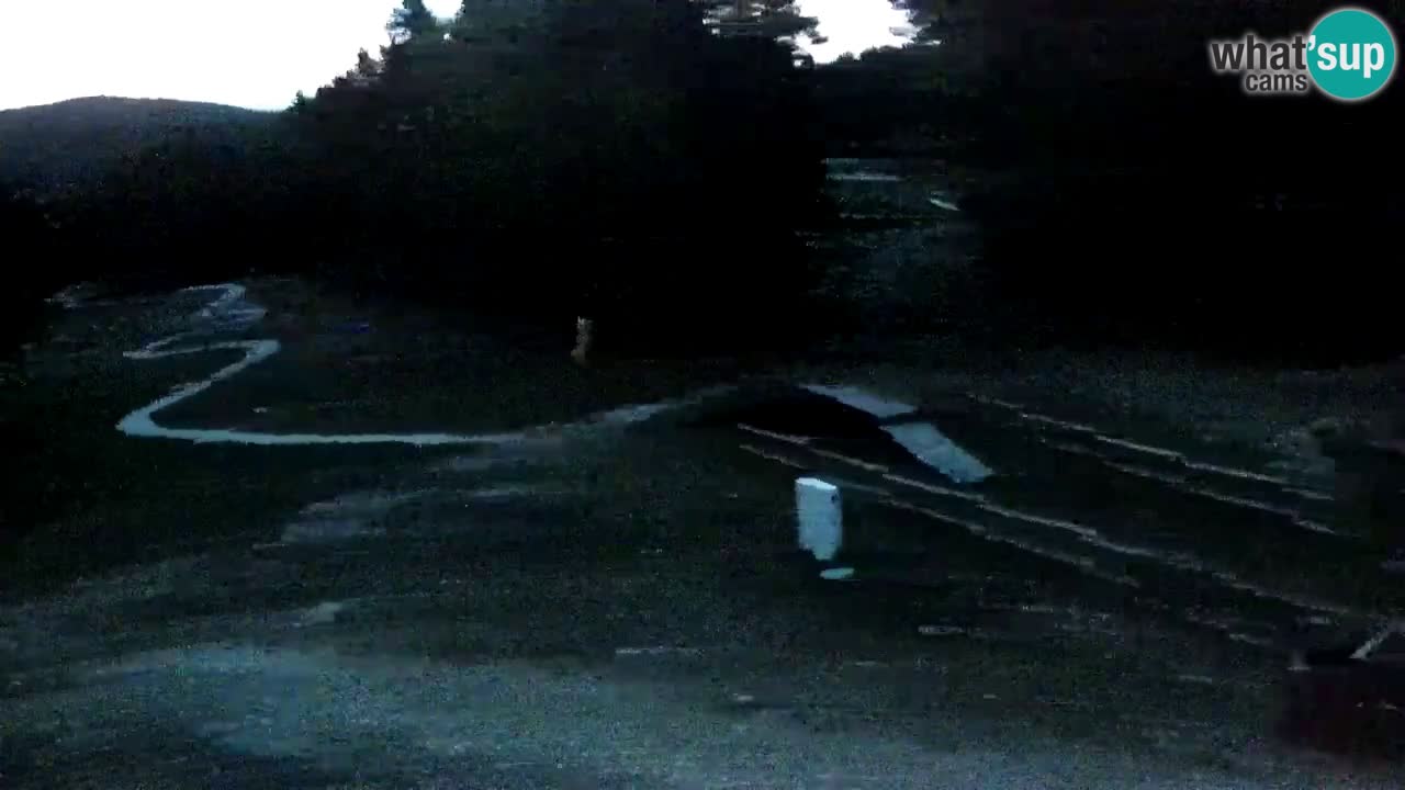 Stazione sciistica Maribor Pohorje – Ruška livecam