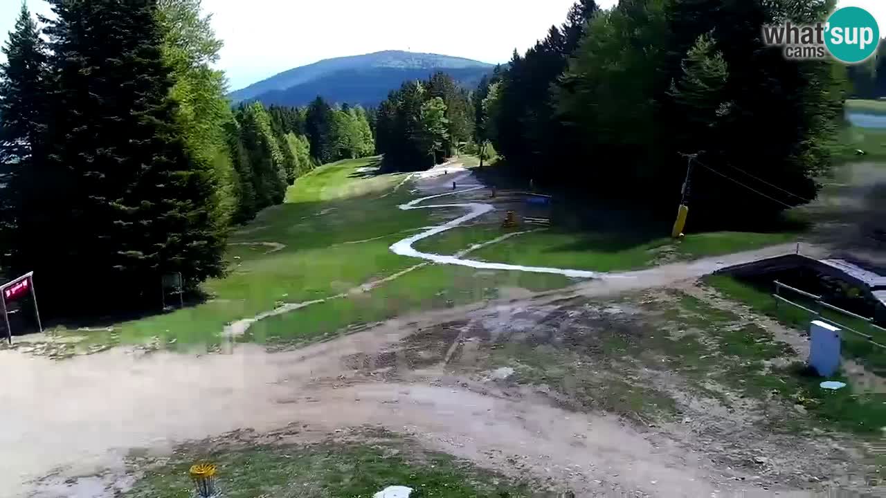 SKI Maribor Pohorje webcam Ruška