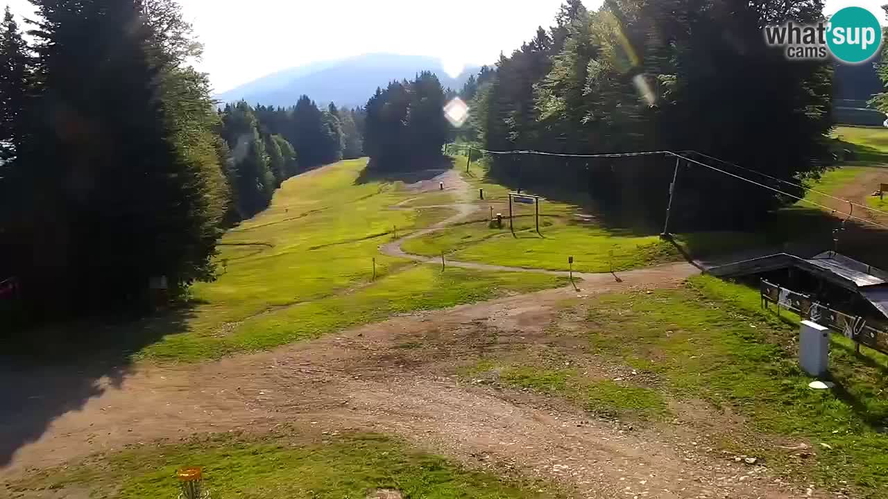 Estaciones de esquí Maribor Pohorje en vivo Ruška