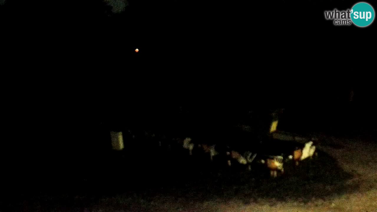 SKI Maribor Pohorje webcam Ruška