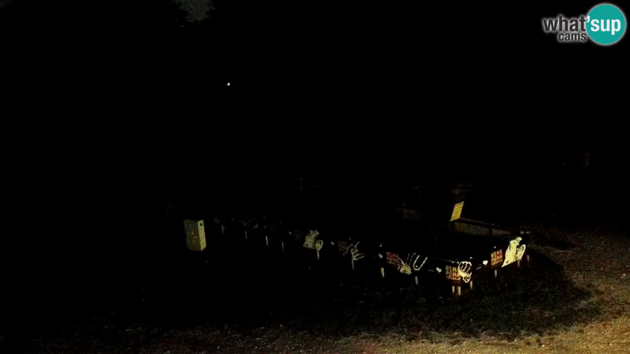 SKI Maribor Pohorje – Ruška webcam