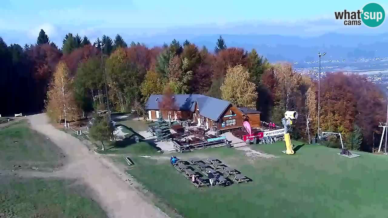 Webcam Pohorje Trikotna Jasa | Poštela