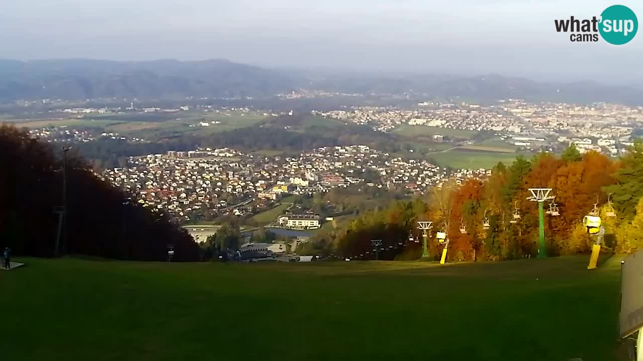 Webcam Pohorje Trikotna Jasa | Poštela