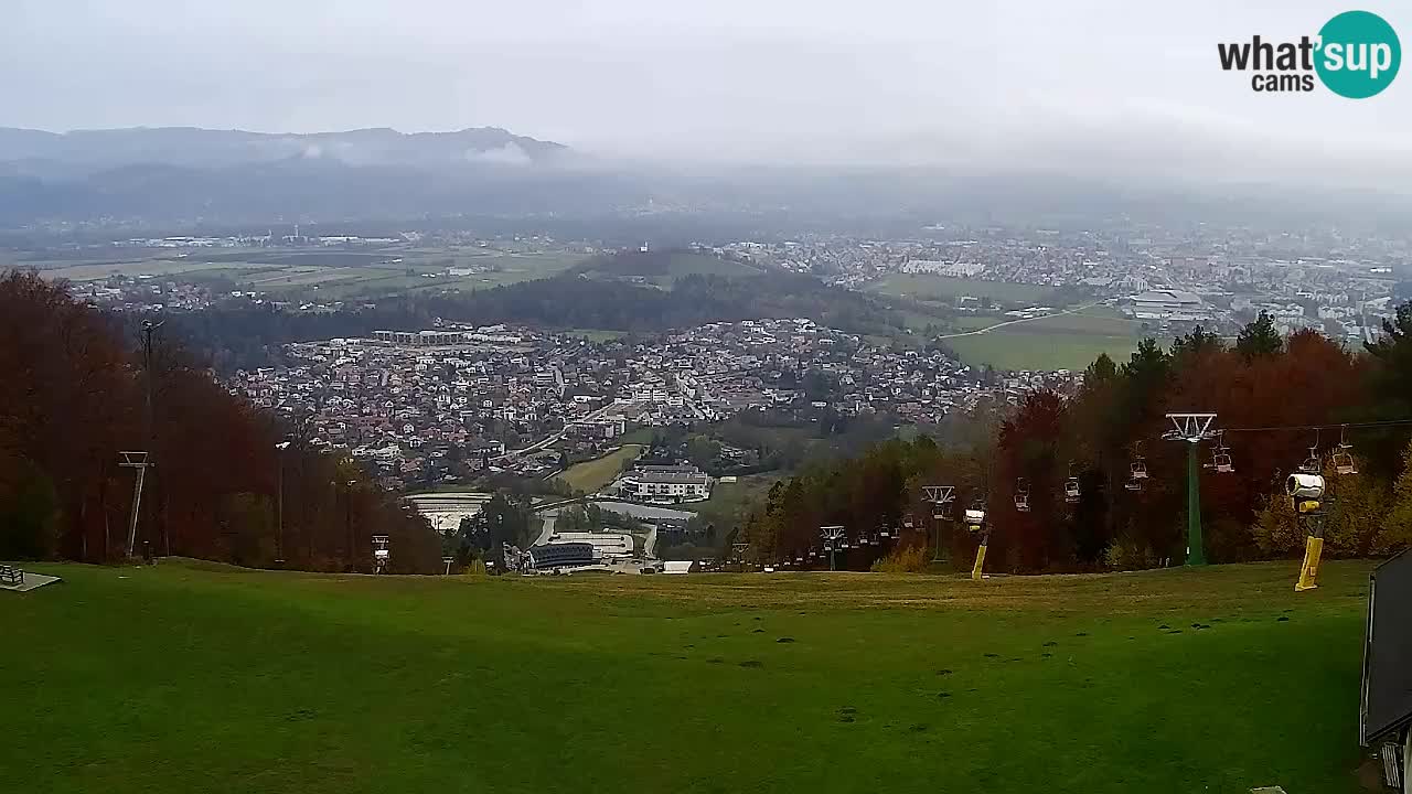 Web Camera Pohorje Trikotna Jasa | Poštela