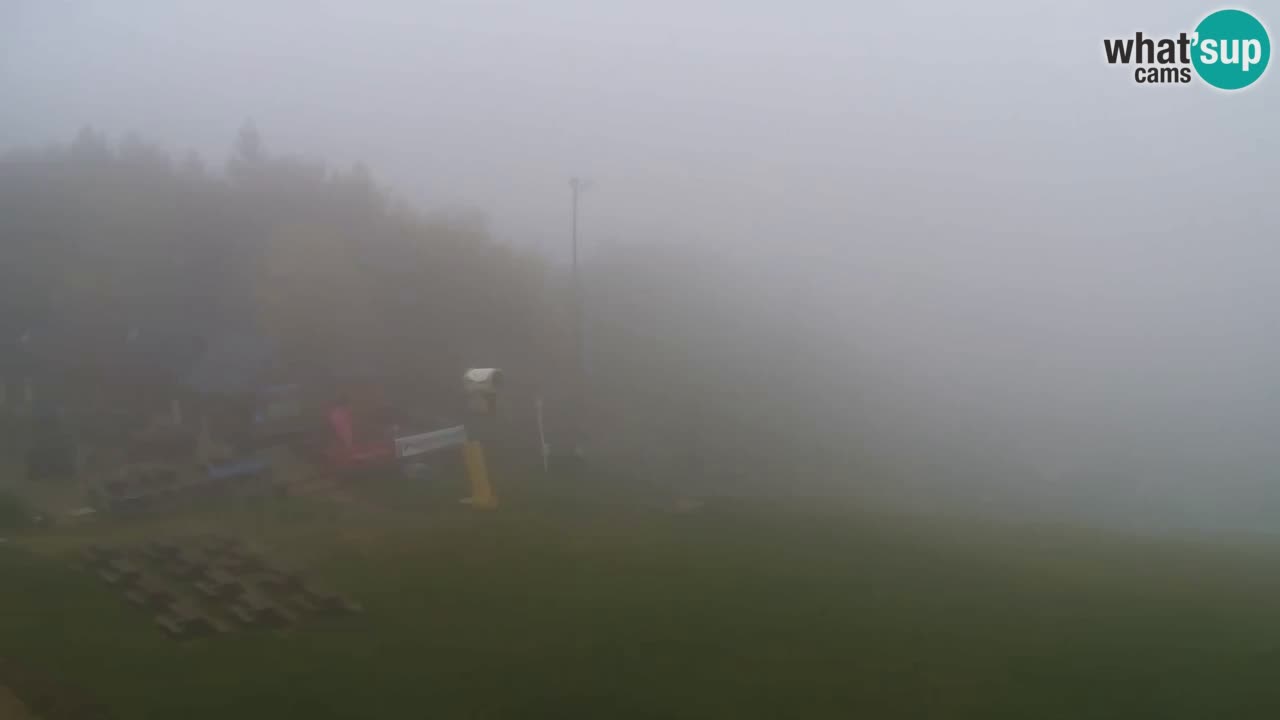 Webcam Pohorje Trikotna Jasa | Poštela