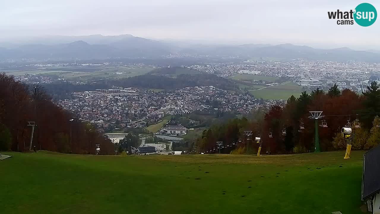 Web Camera Pohorje Trikotna Jasa | Poštela