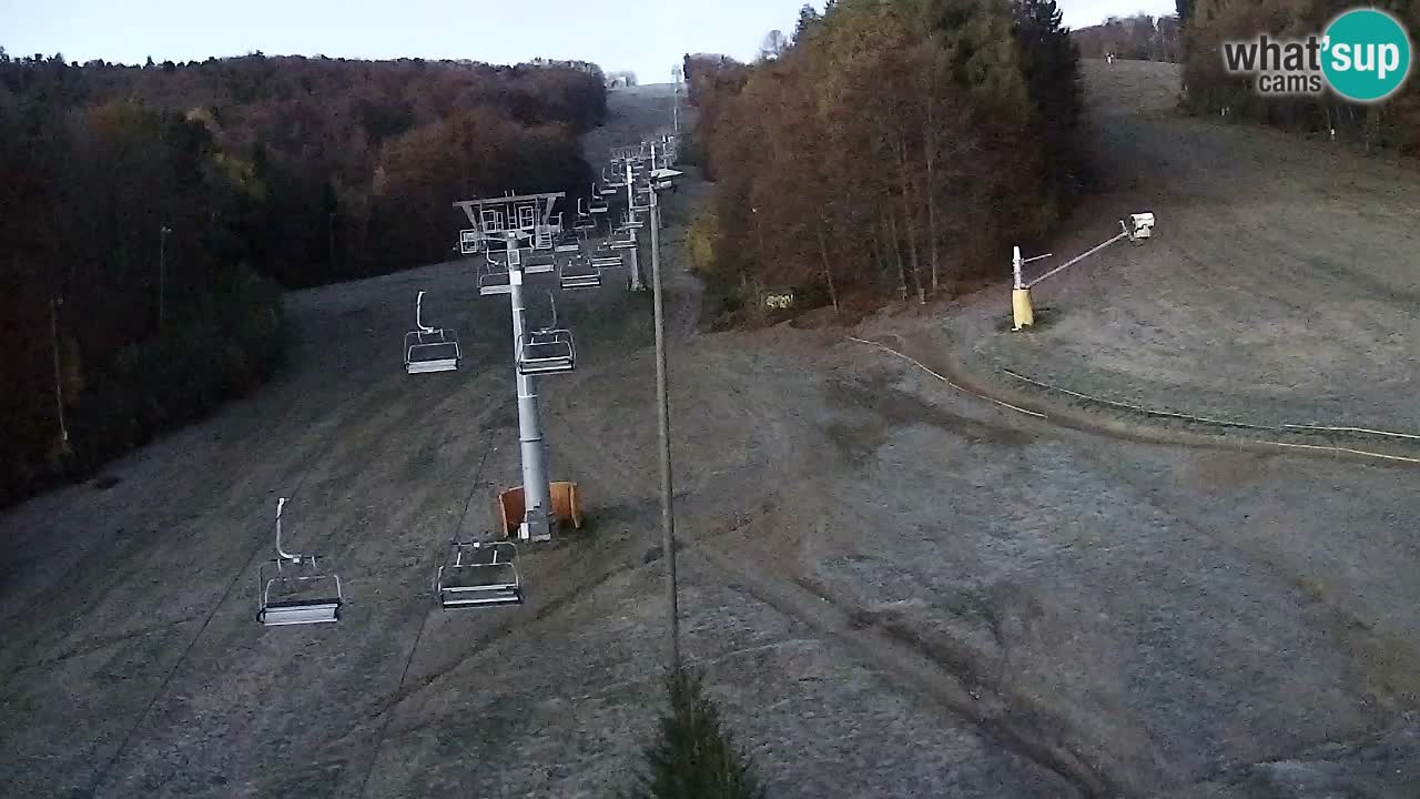 Webcam Pohorje Trikotna Jasa | Poštela