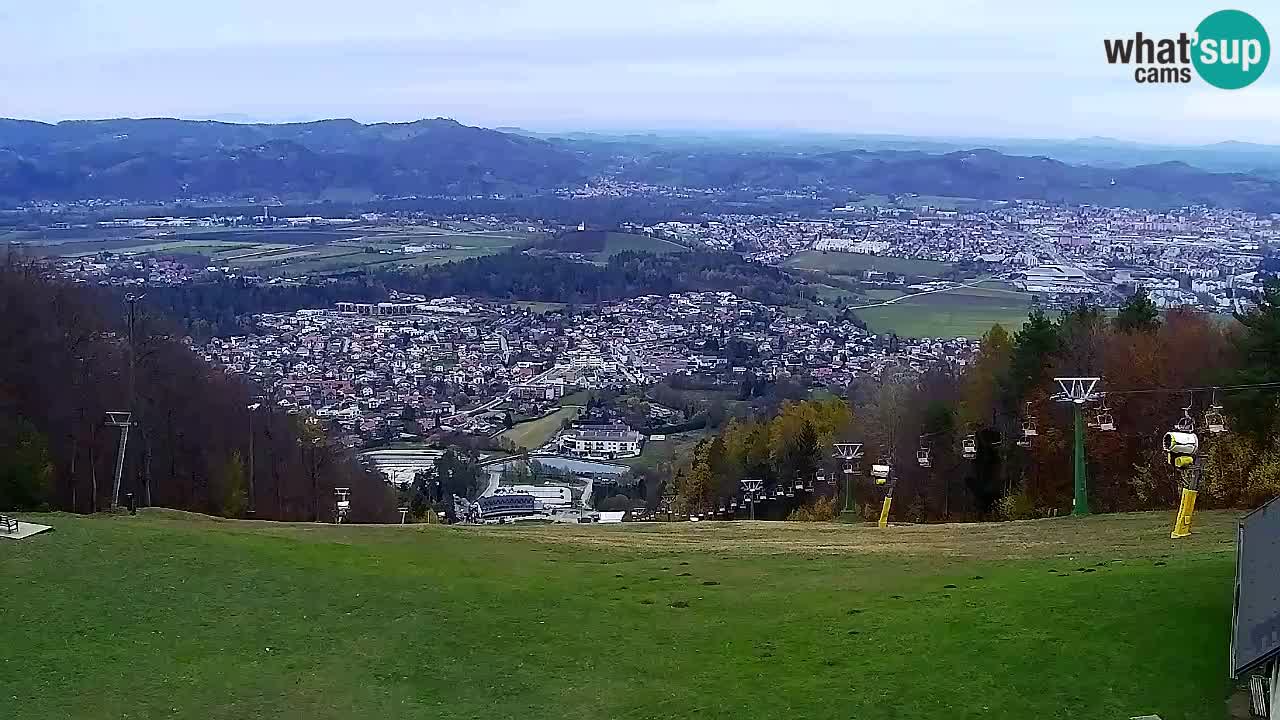 Webcam Pohorje Trikotna Jasa | Poštela