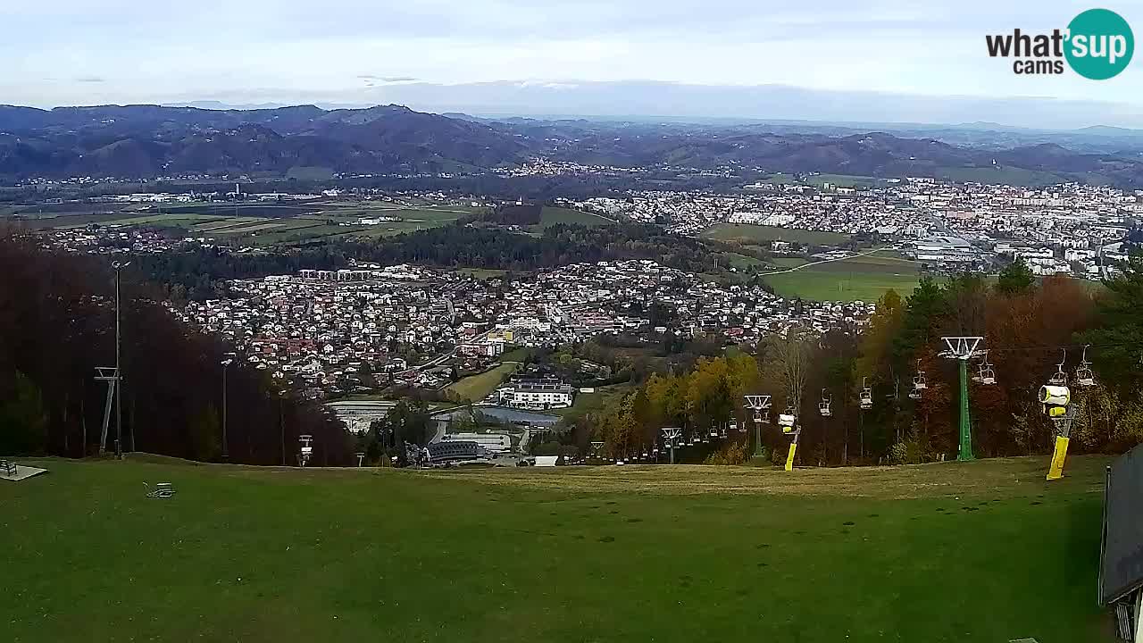 Webcam Pohorje Trikotna Jasa | Poštela