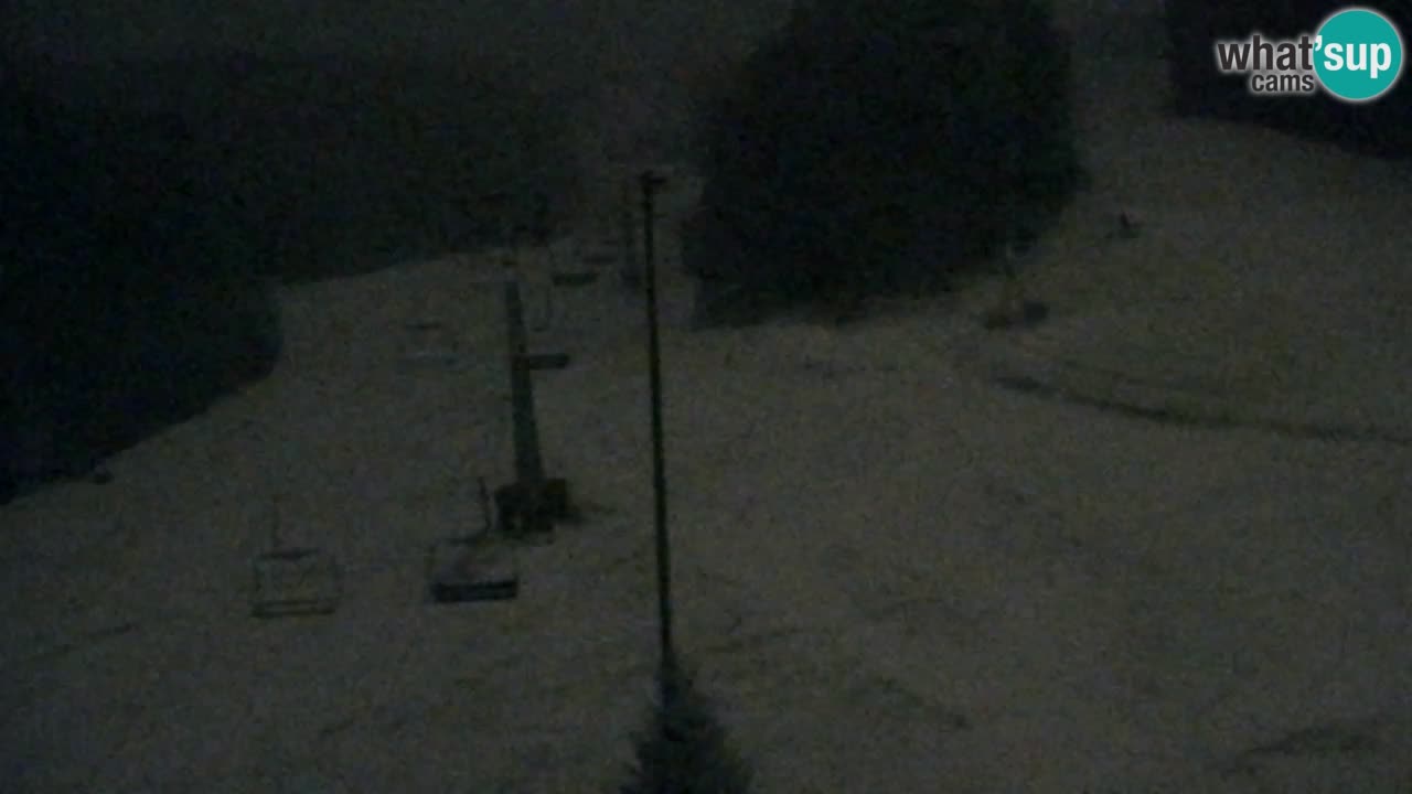 Webcam Pohorje Trikotna Jasa | Poštela