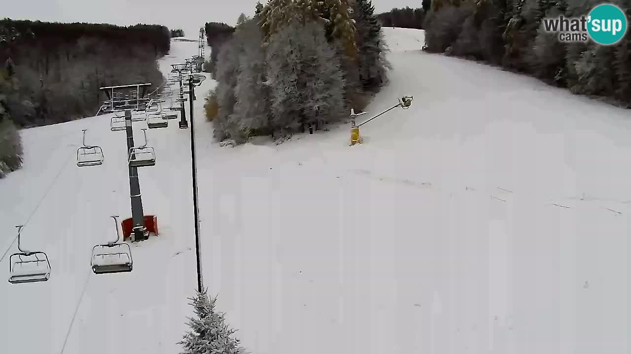 Web Camera Pohorje Trikotna Jasa | Poštela