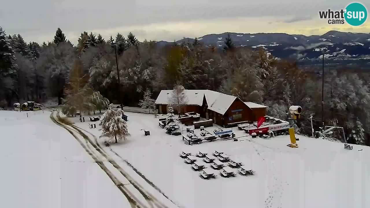 Web Camera Pohorje Trikotna Jasa | Poštela