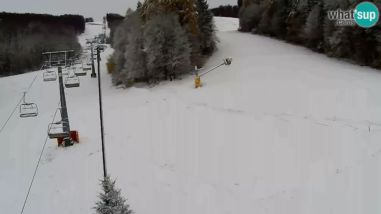 Web Camera Pohorje Trikotna Jasa | Poštela