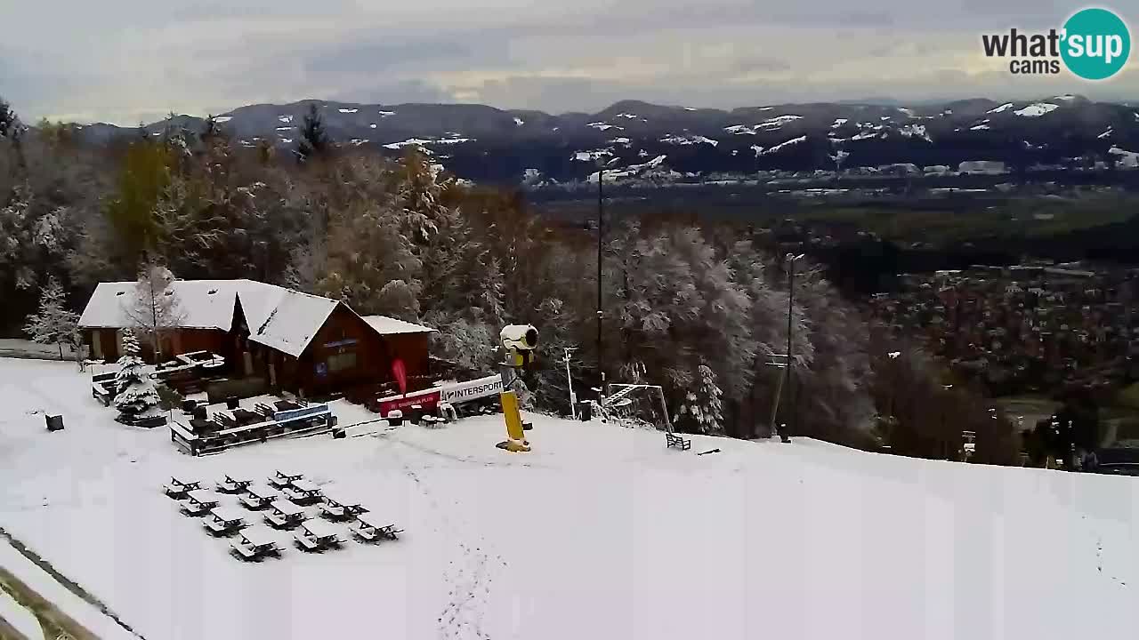 Webcam Pohorje Trikotna Jasa | Poštela