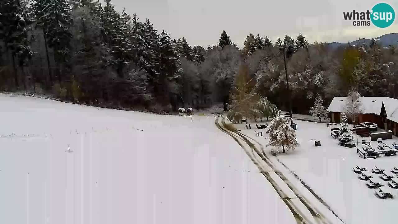 Web Camera Pohorje Trikotna Jasa | Poštela