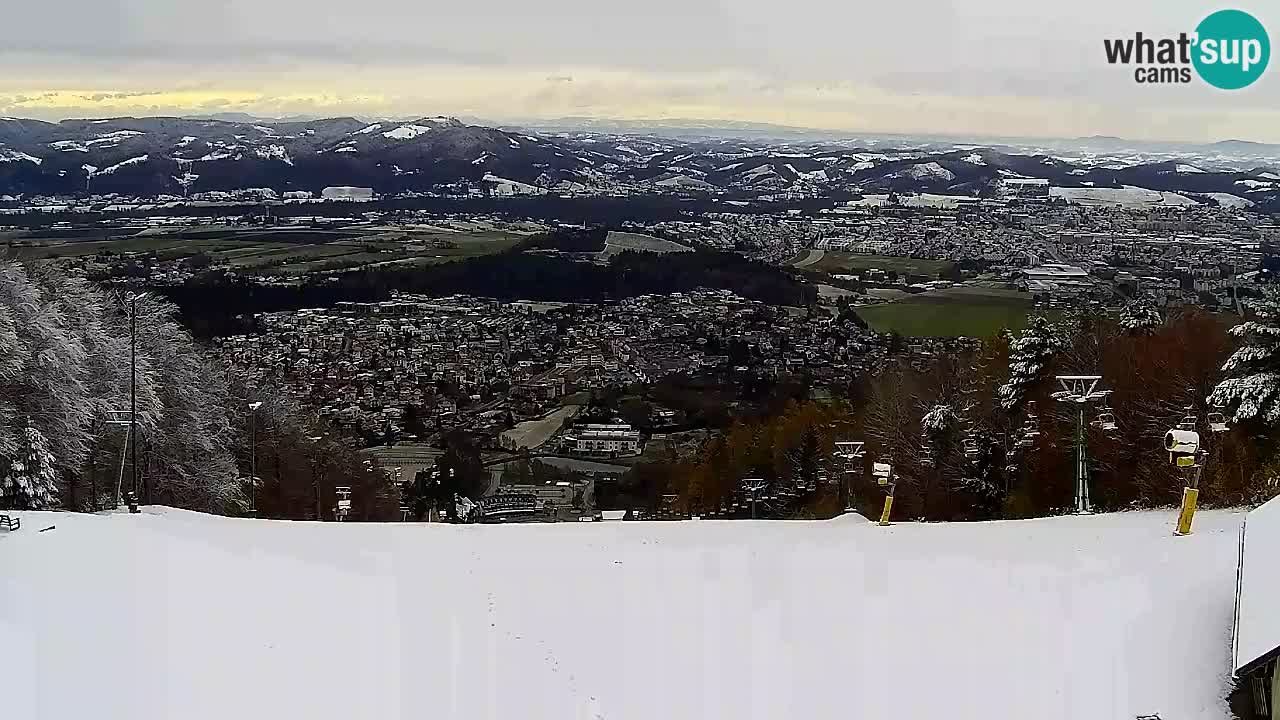 Web Camera Pohorje Trikotna Jasa | Poštela