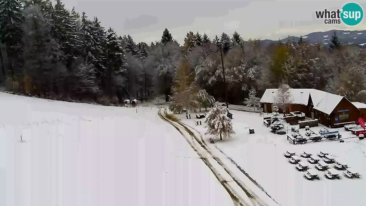 Web Camera Pohorje Trikotna Jasa | Poštela