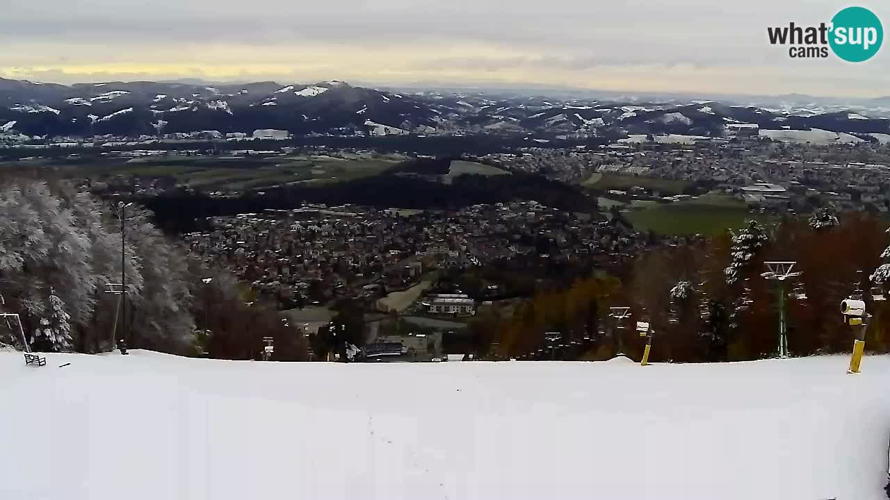 Webcam Pohorje Trikotna Jasa | Poštela