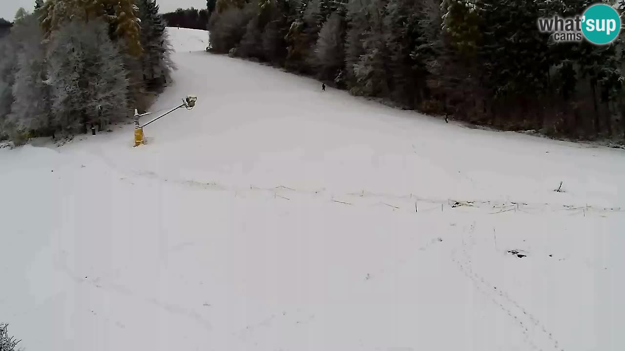 Web Camera Pohorje Trikotna Jasa | Poštela