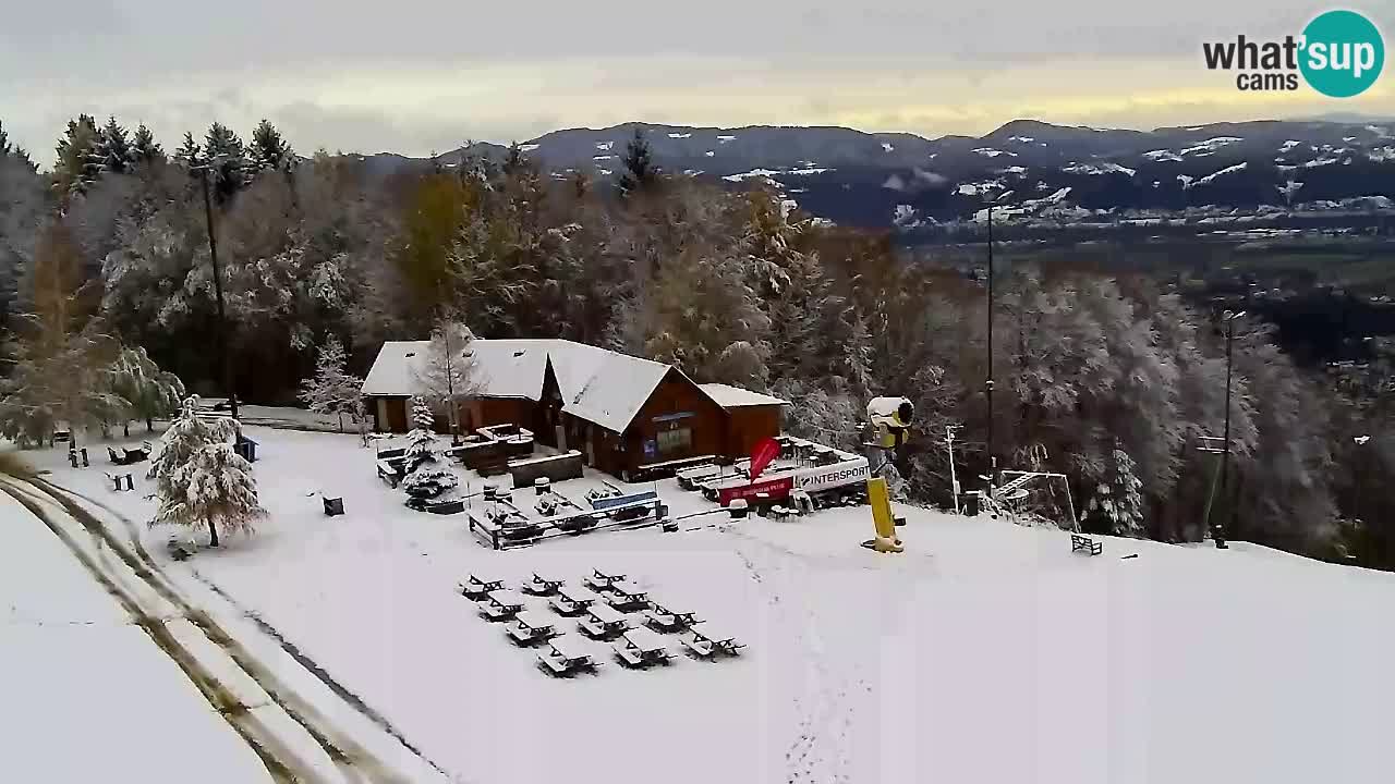 Webcam Pohorje Trikotna Jasa | Poštela