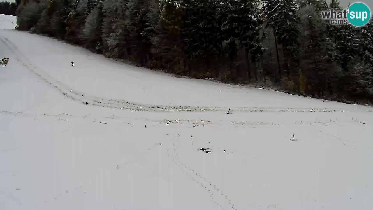 Web Camera Pohorje Trikotna Jasa | Poštela