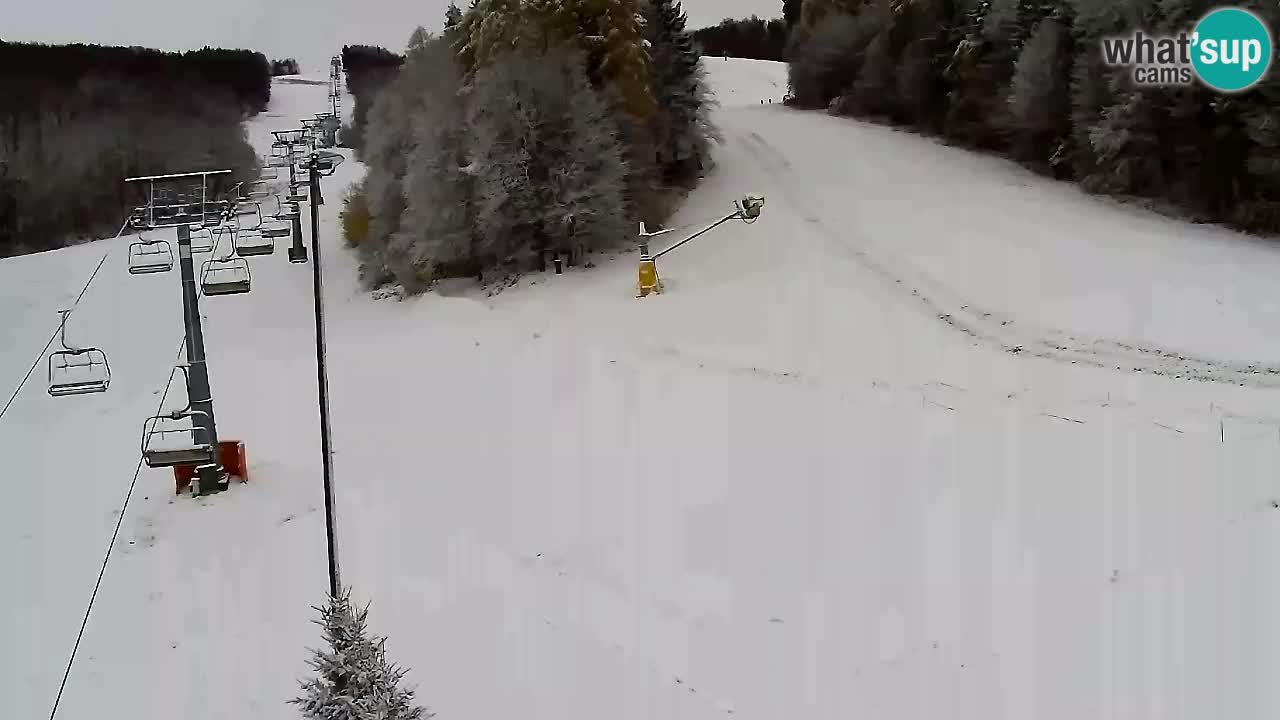 Web Camera Pohorje Trikotna Jasa | Poštela