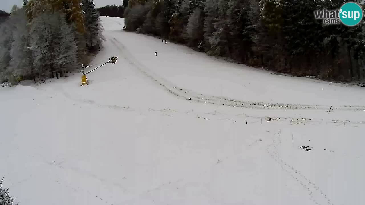 Webcam Pohorje Trikotna Jasa | Poštela