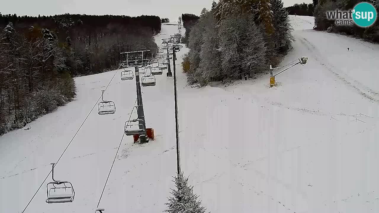 Web Camera Pohorje Trikotna Jasa | Poštela