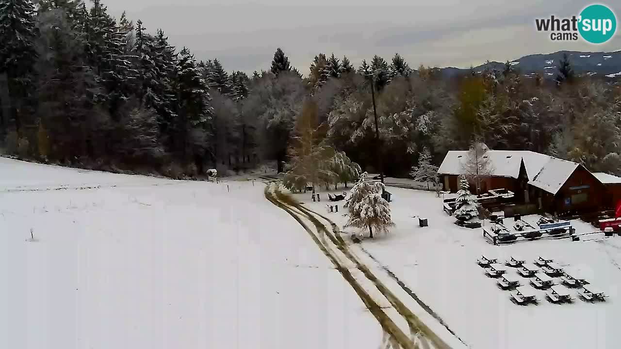 Webcam Pohorje Trikotna Jasa | Poštela