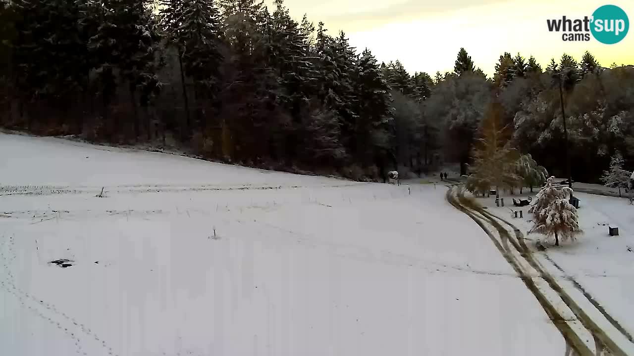 Web Camera Pohorje Trikotna Jasa | Poštela