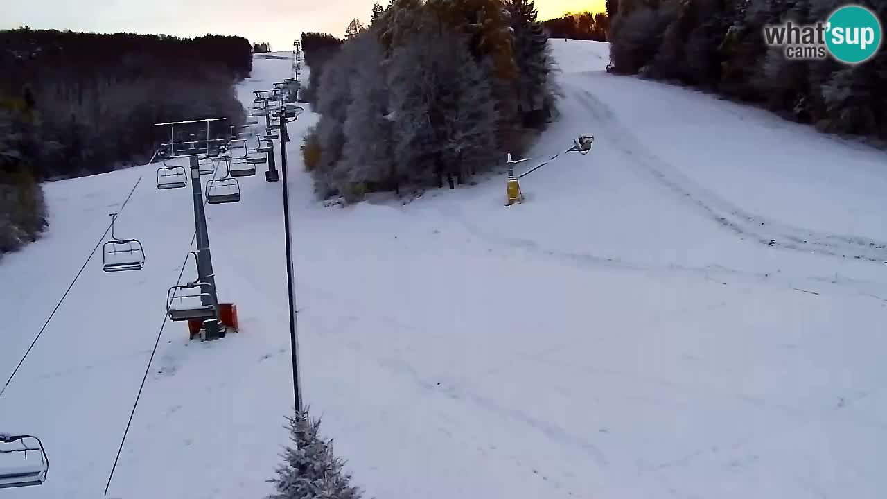 Web Camera Pohorje Trikotna Jasa | Poštela