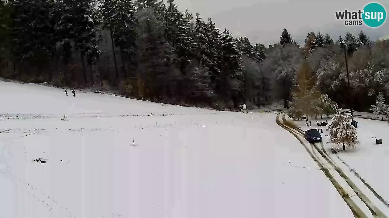 Webcam Pohorje Trikotna Jasa | Poštela