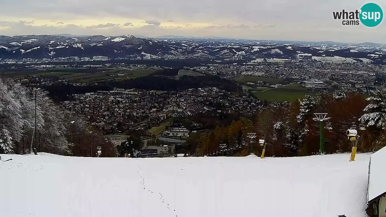 Webcam Pohorje Trikotna Jasa | Poštela