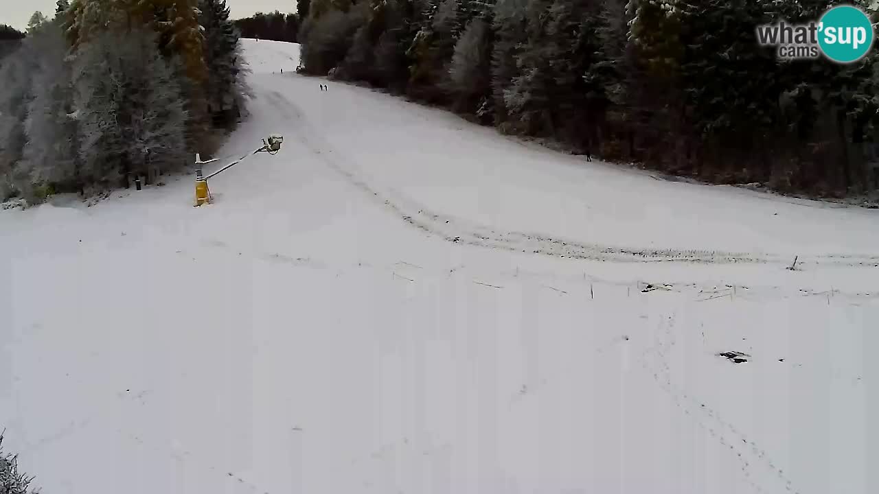 Webcam Pohorje Trikotna Jasa | Poštela